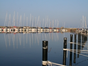 /Gallery/2023/09/img_2443-300x225.jpeg